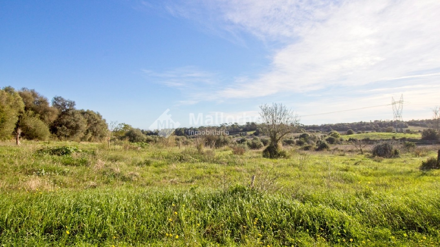  à vendre maison de campagne Muro Nord 4