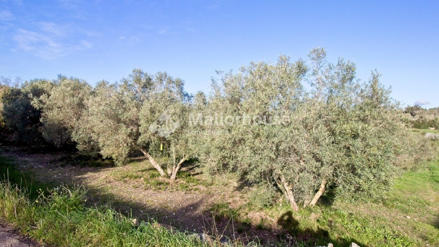  à vendre maison de campagne Muro Nord 8