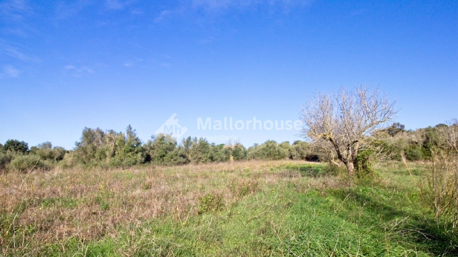  à vendre maison de campagne Muro Nord 3
