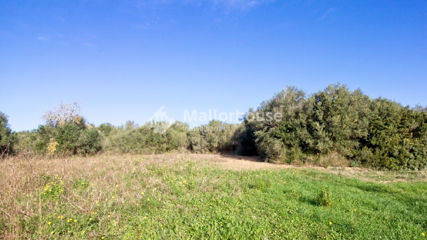  à vendre maison de campagne Muro Nord 5
