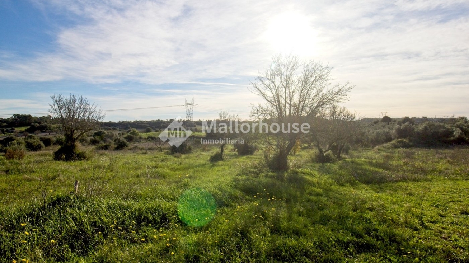  à vendre maison de campagne Muro Nord 7