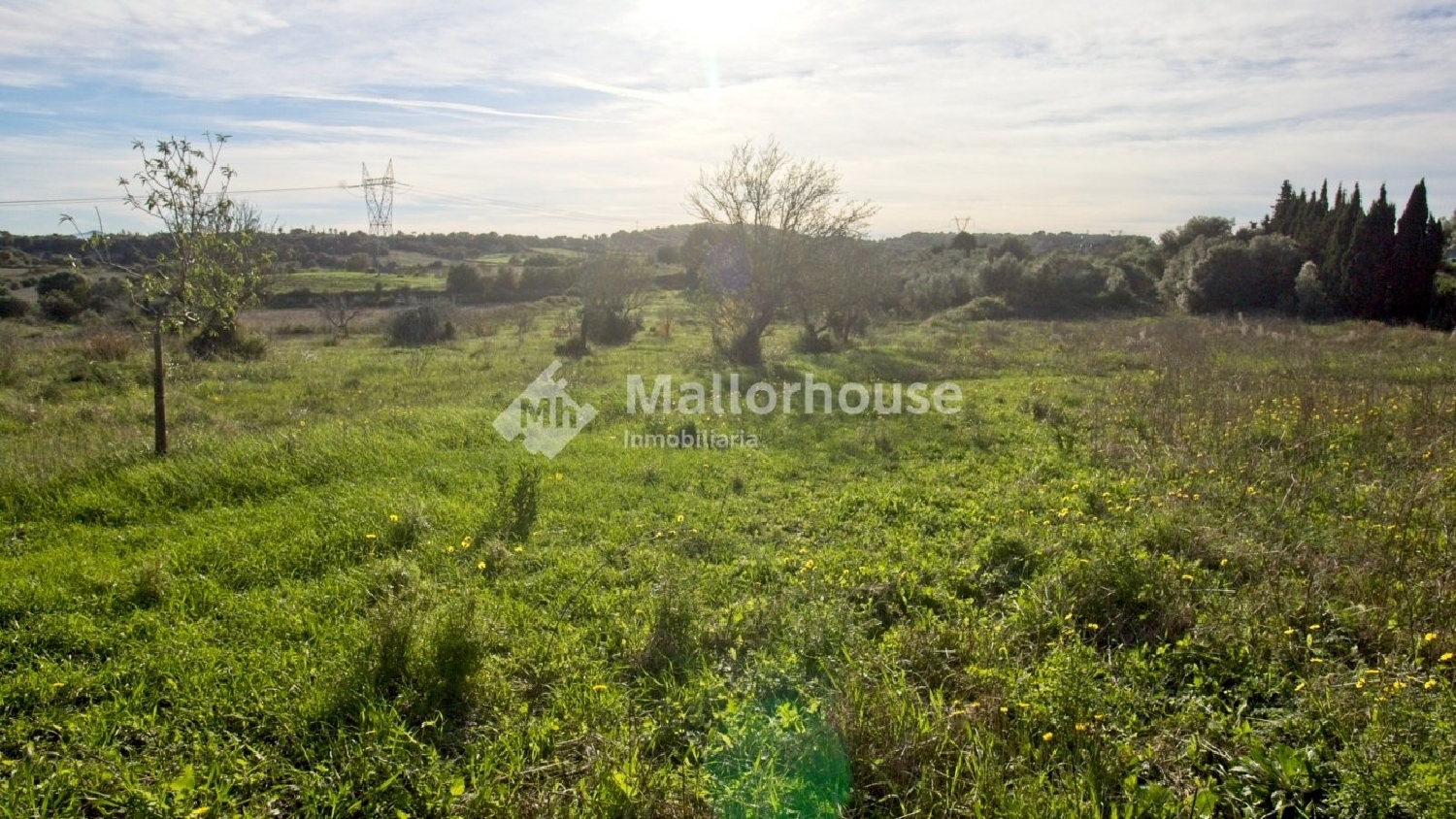  à vendre maison de campagne Muro Nord 6
