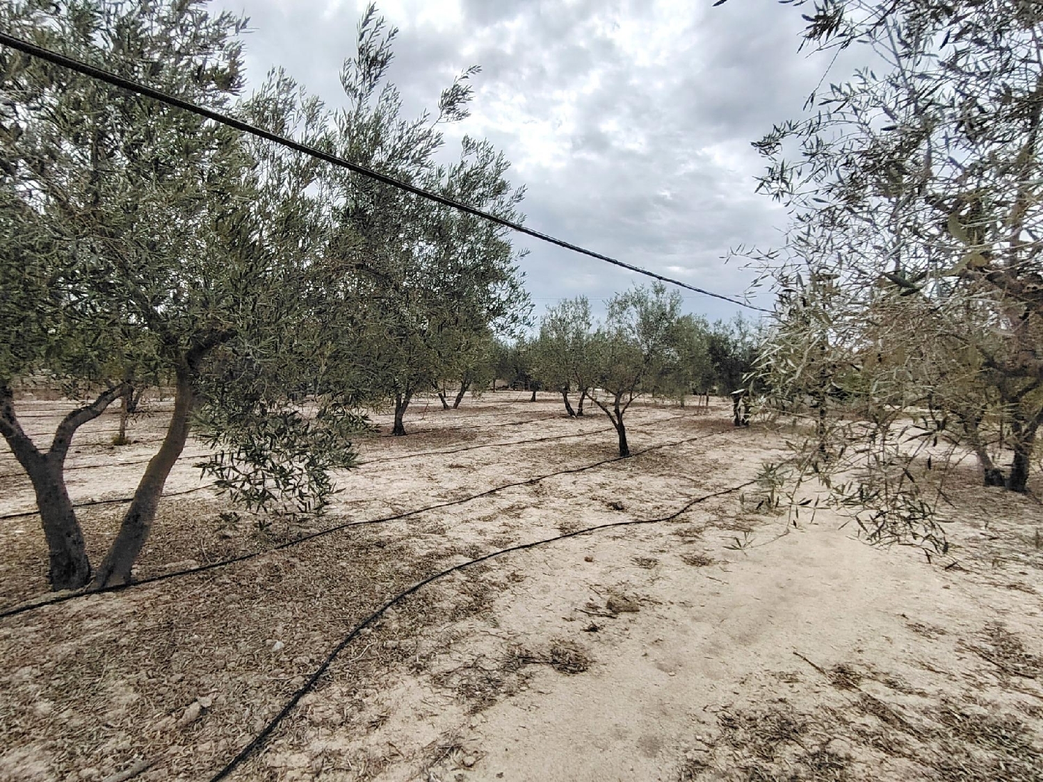  till salu hus på landet Els Montesinos Vinalopó Mitjà 6