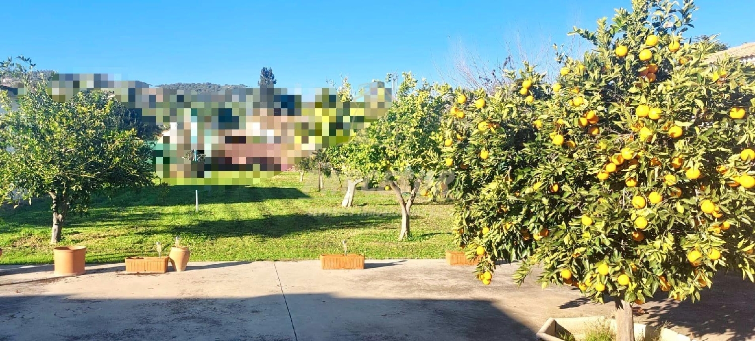 till salu hus på landet Nuestra Señora Del Rosario Valle Medio Del Guadalquivir 2