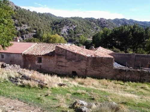 Olivar Accitania hus på landet foto 6236230