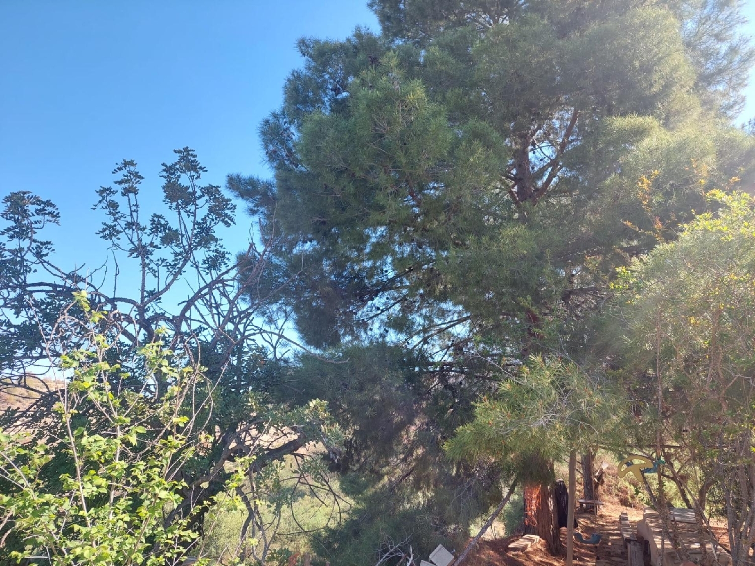  till salu hus på landet Santa Eulalia Alt Vinalopó 7