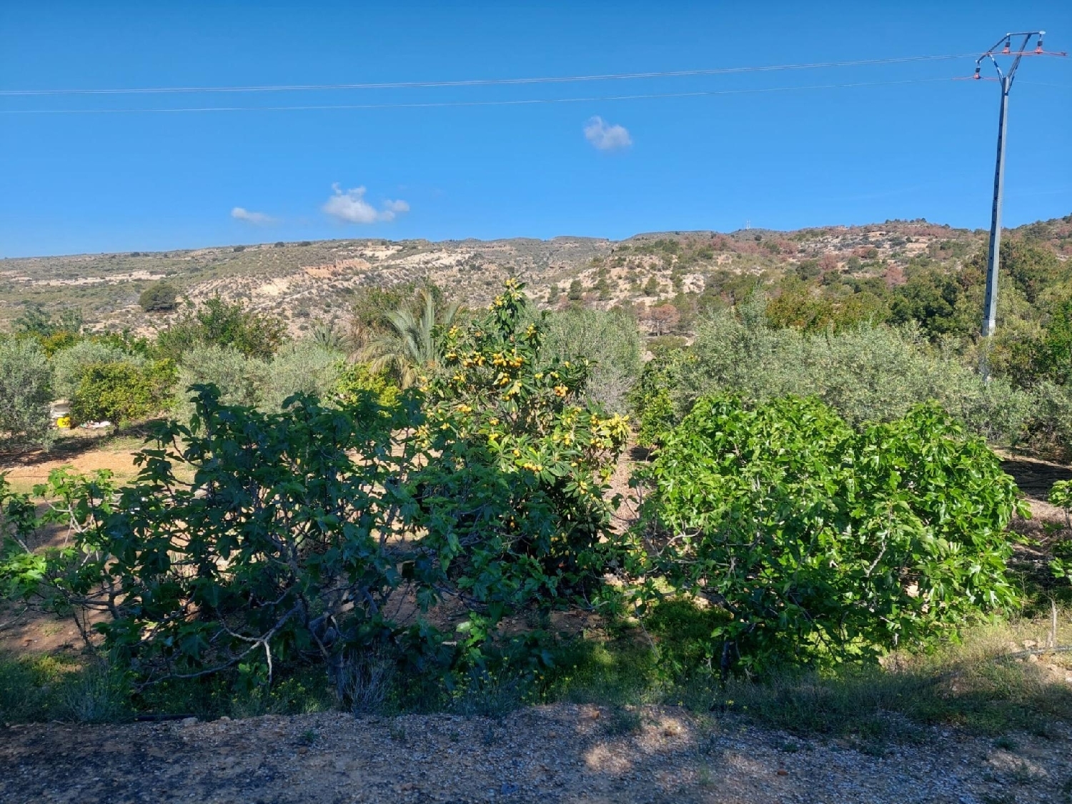  till salu hus på landet Santa Eulalia Alt Vinalopó 4