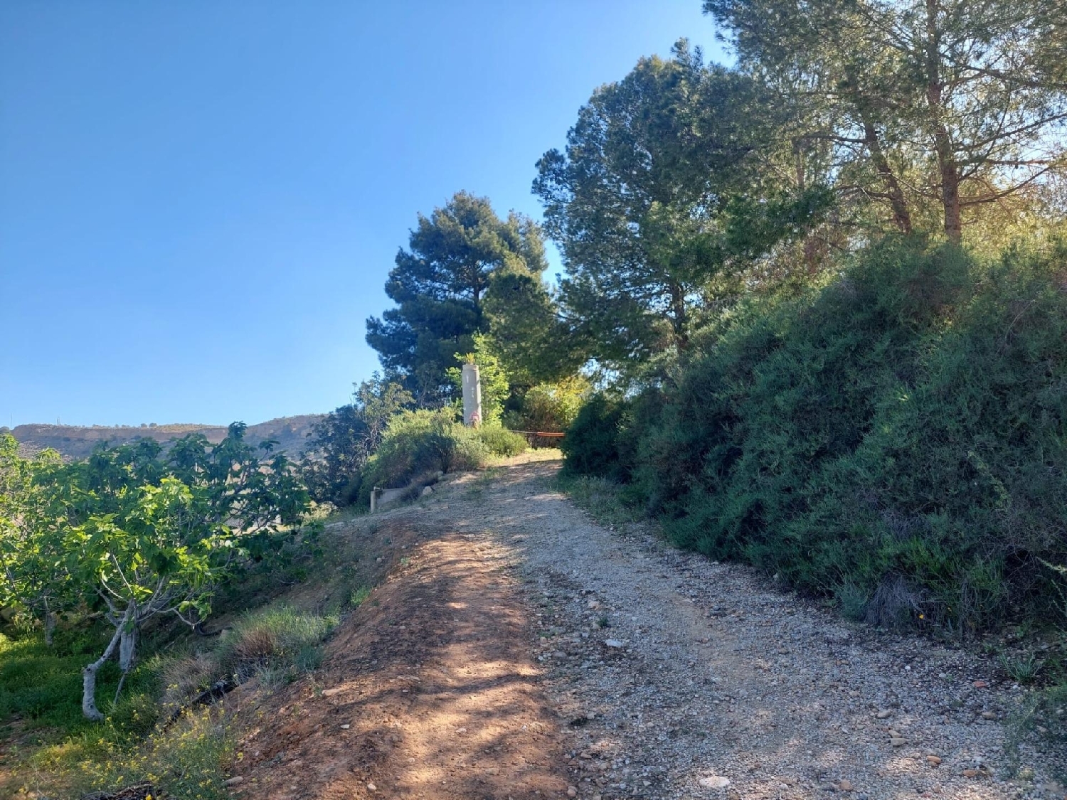 till salu hus på landet Santa Eulalia Alt Vinalopó 3