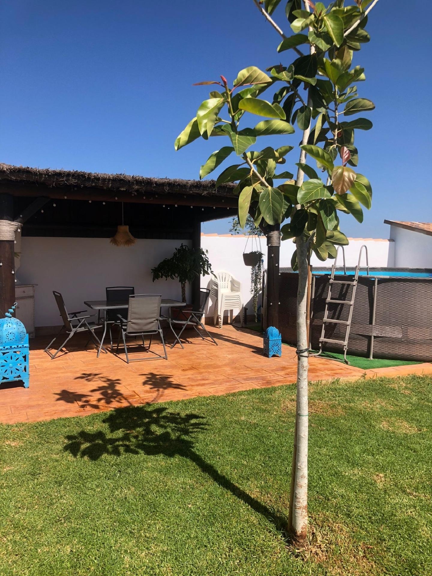  till salu hus på landet Pago Del Humo Bahía De Cádiz 6