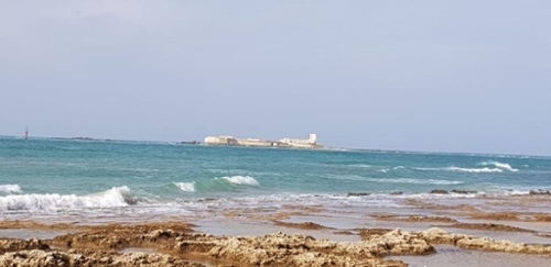Pago Del Humo Bahía De Cádiz hus på landet foto 6219425
