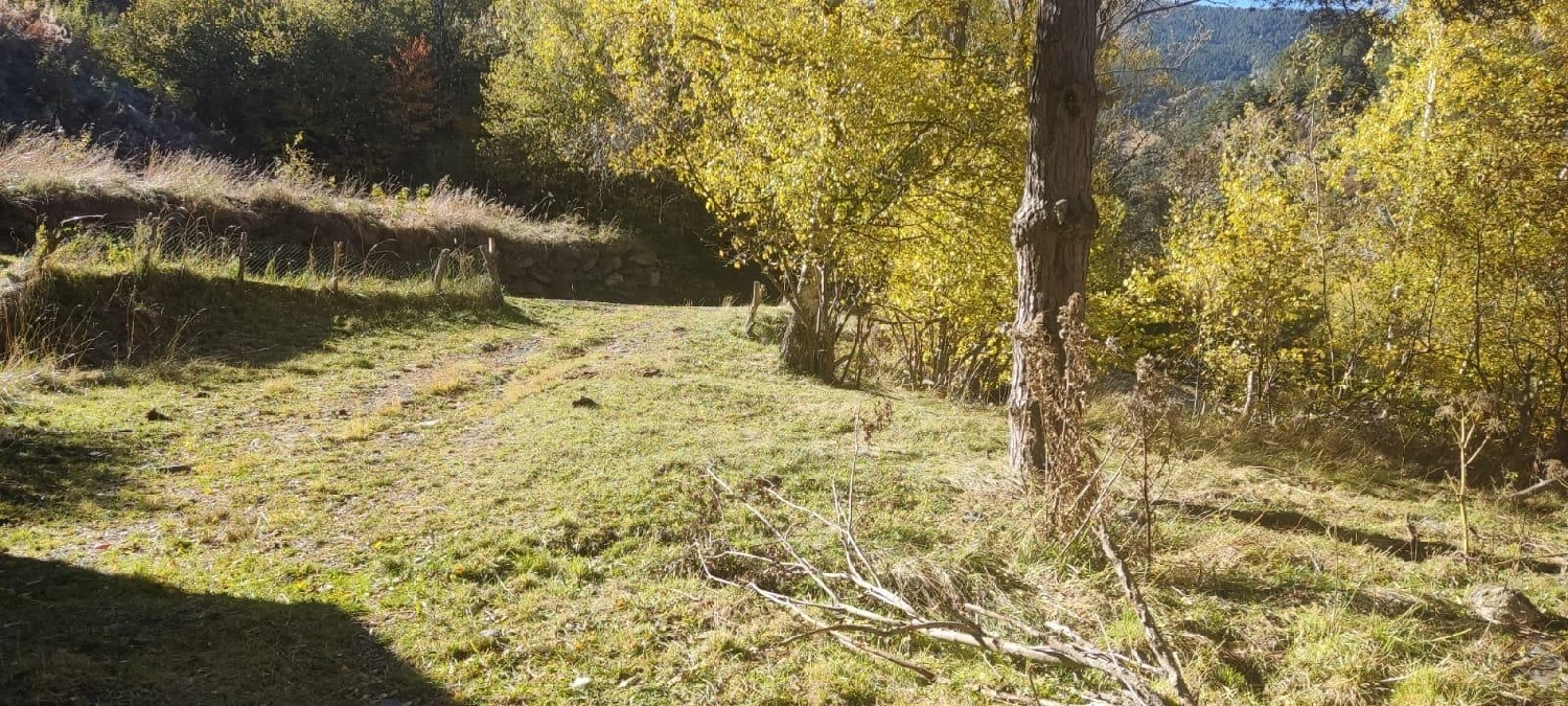  till salu hus på landet Pal La Massana 7