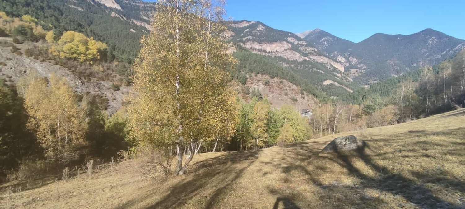  till salu hus på landet Pal La Massana 8