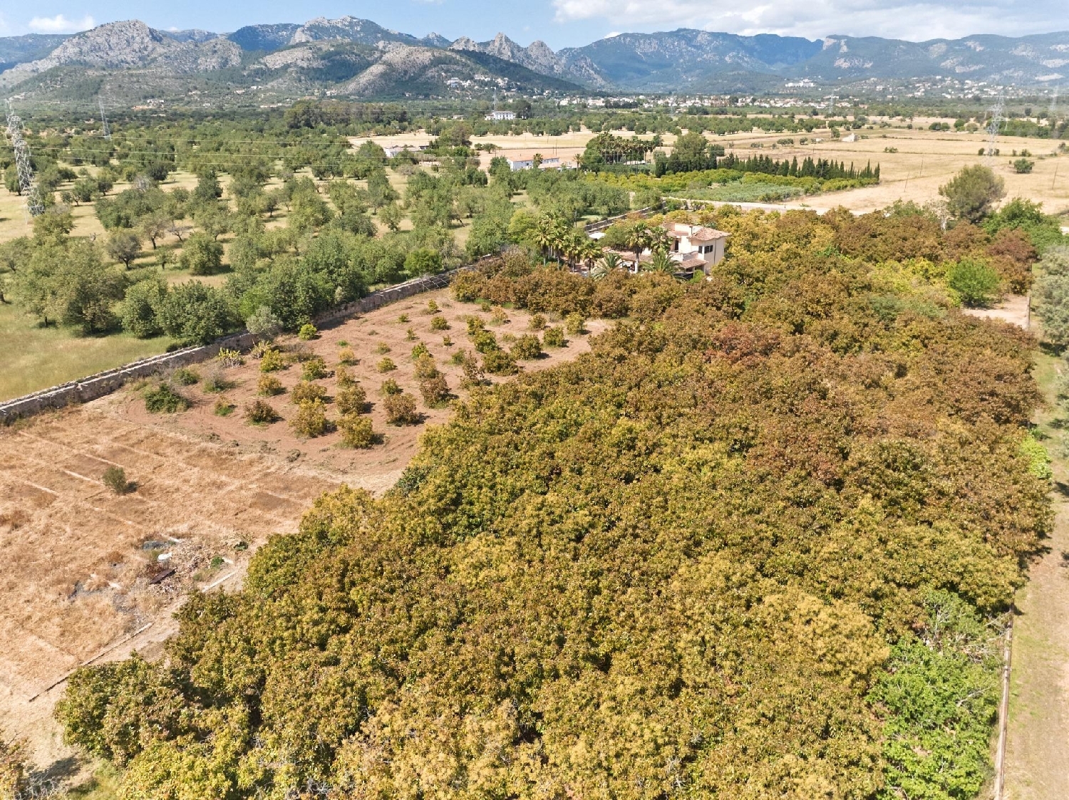  till salu hus på landet Parc Bit-Son Espanyol Palma 5