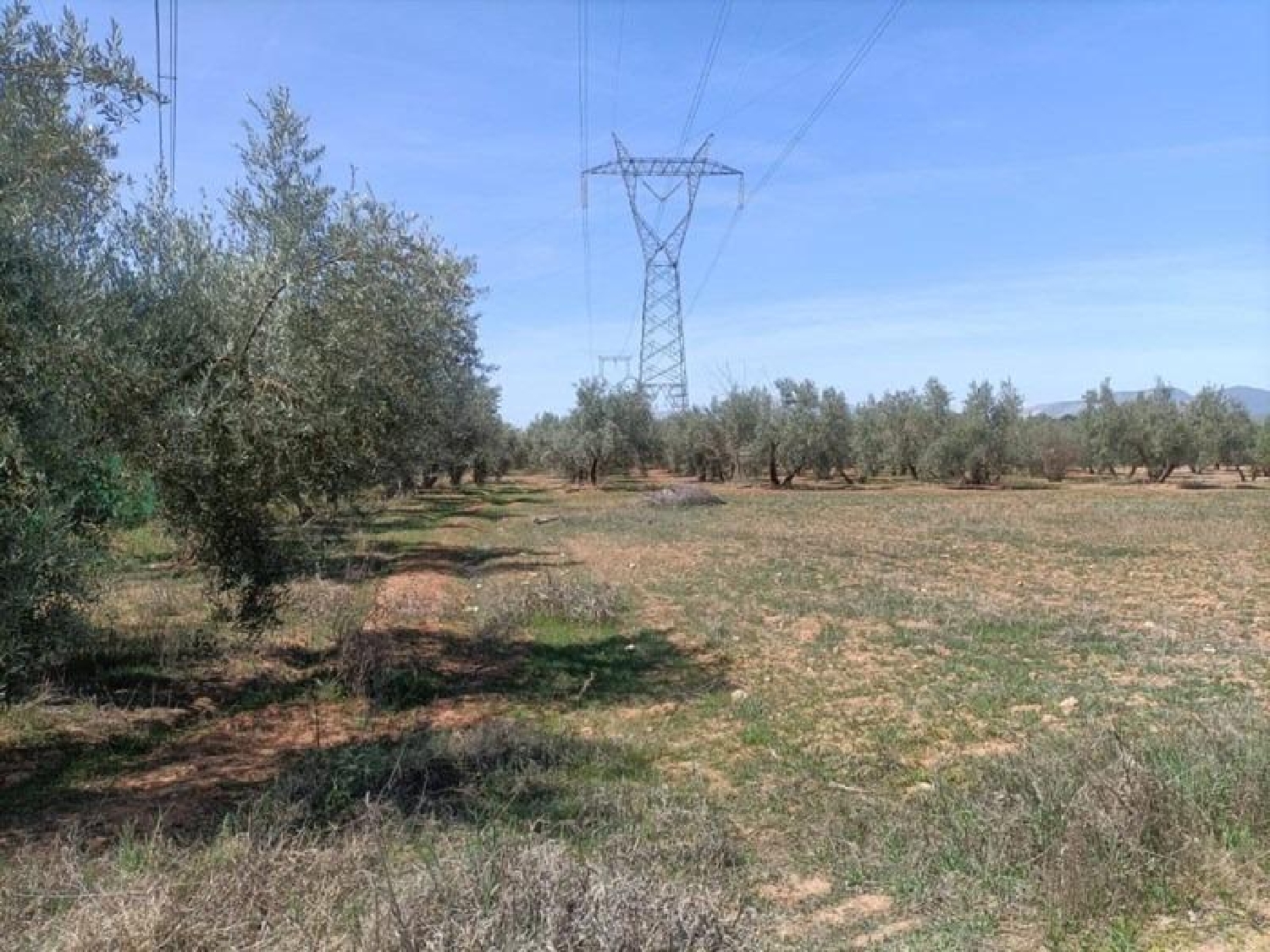 à vendre maison de campagne Albolote Vega De Granada 3
