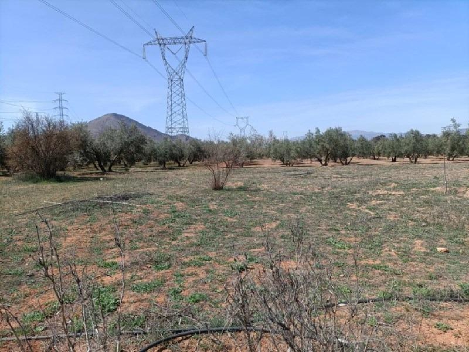 à vendre maison de campagne Albolote Vega De Granada 2