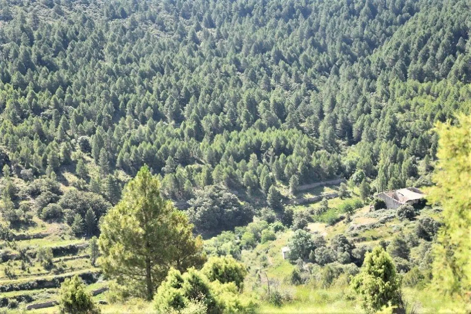  till salu hus på landet Peñarroya De Tastavins Matarraña 4