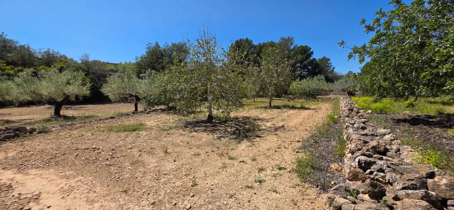  till salu hus på landet Perello-Mar Baix Ebre 6