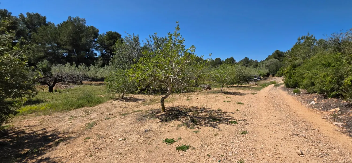 till salu hus på landet Perello-Mar Baix Ebre 8