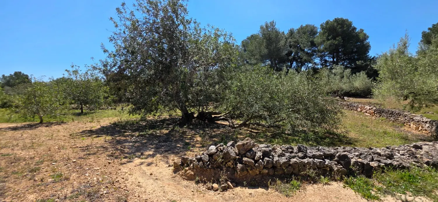  till salu hus på landet Perello-Mar Baix Ebre 5