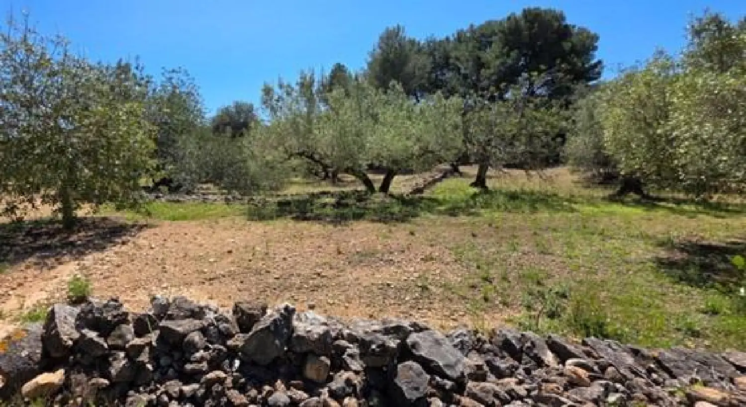  till salu hus på landet Perello-Mar Baix Ebre 7