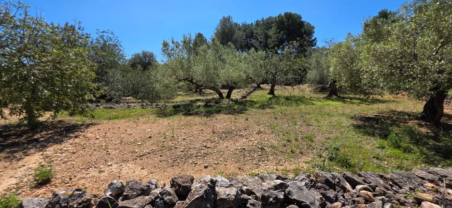 till salu hus på landet Perello-Mar Baix Ebre 2