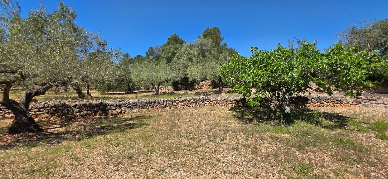  till salu hus på landet Perello-Mar Baix Ebre 4