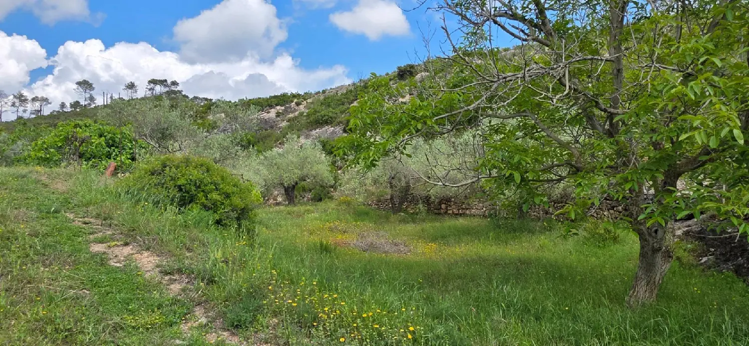 till salu hus på landet El Perelló Baix Ebre 3
