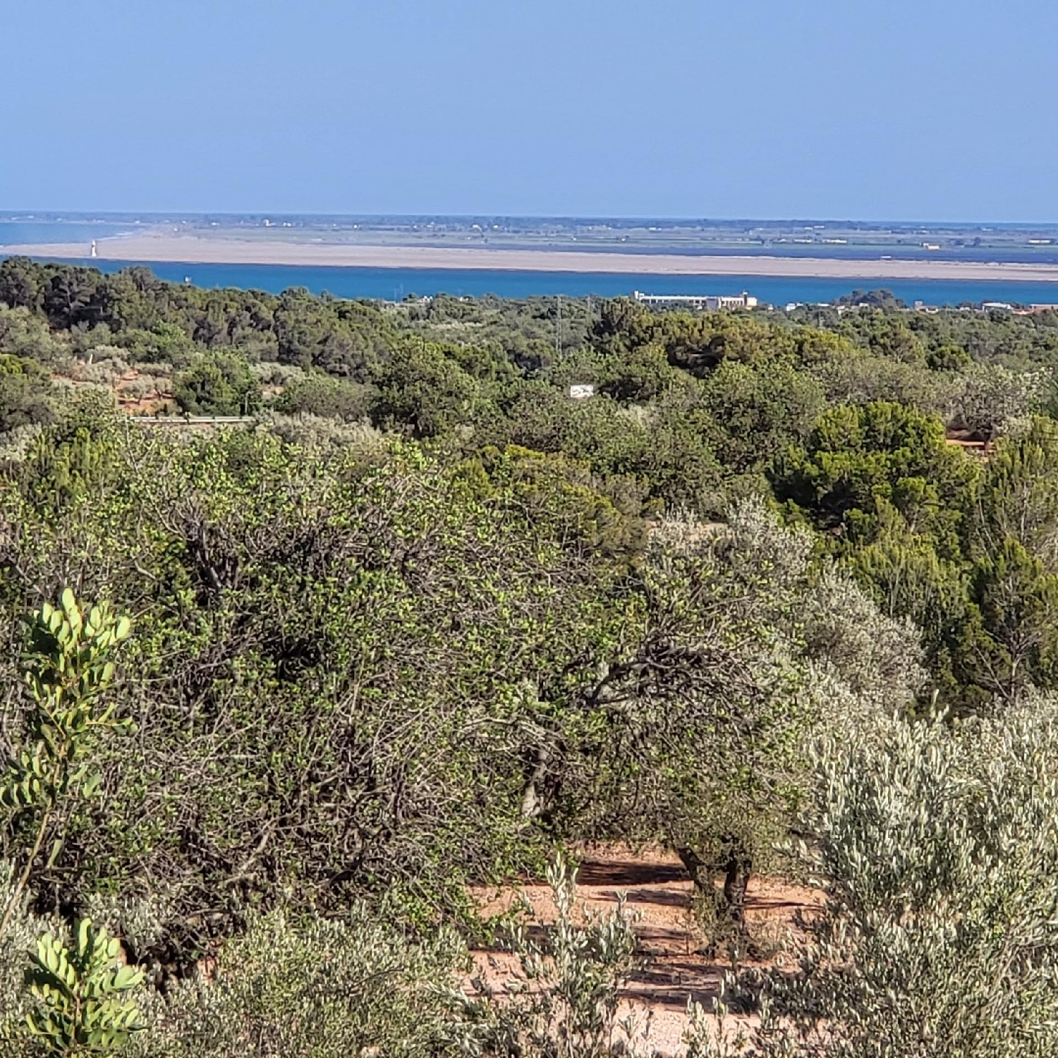  till salu hus på landet Perello-Mar Baix Ebre 4