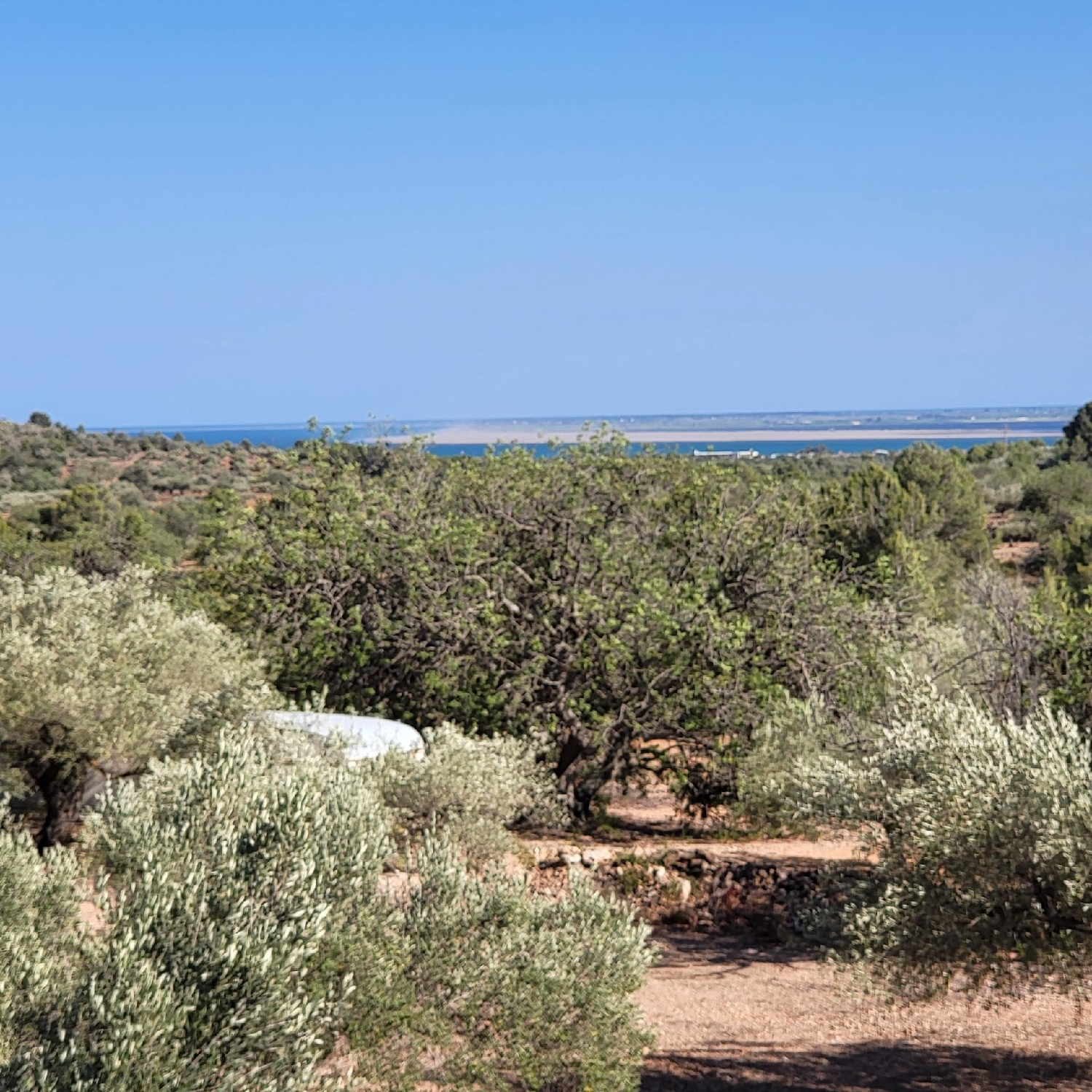 till salu hus på landet Perello-Mar Baix Ebre 3