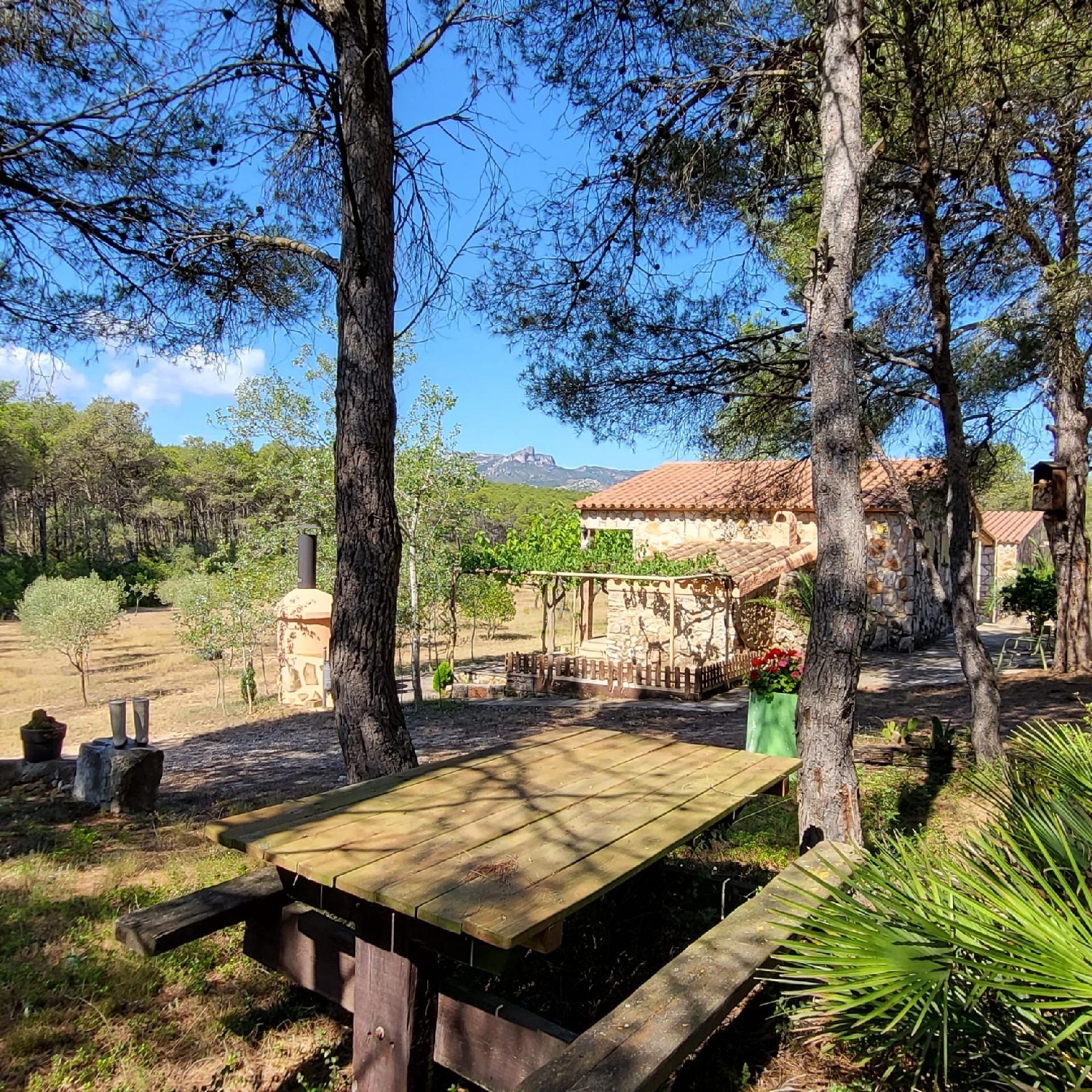  till salu hus på landet Perello-Mar Baix Ebre 4
