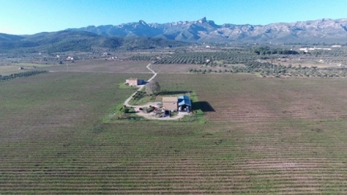 Perello-Mar Baix Ebre hus på landet foto 6243524