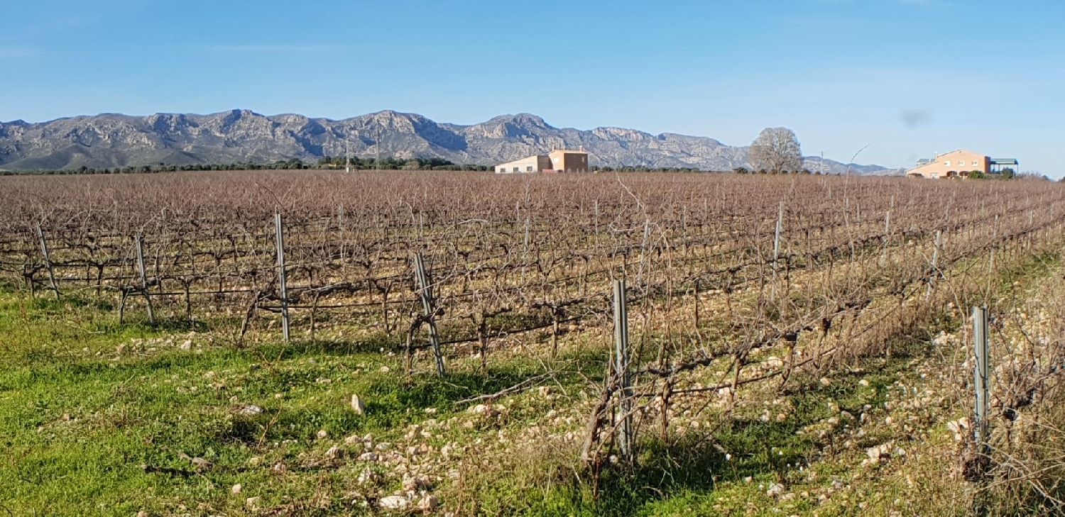  till salu hus på landet Perello-Mar Baix Ebre 4