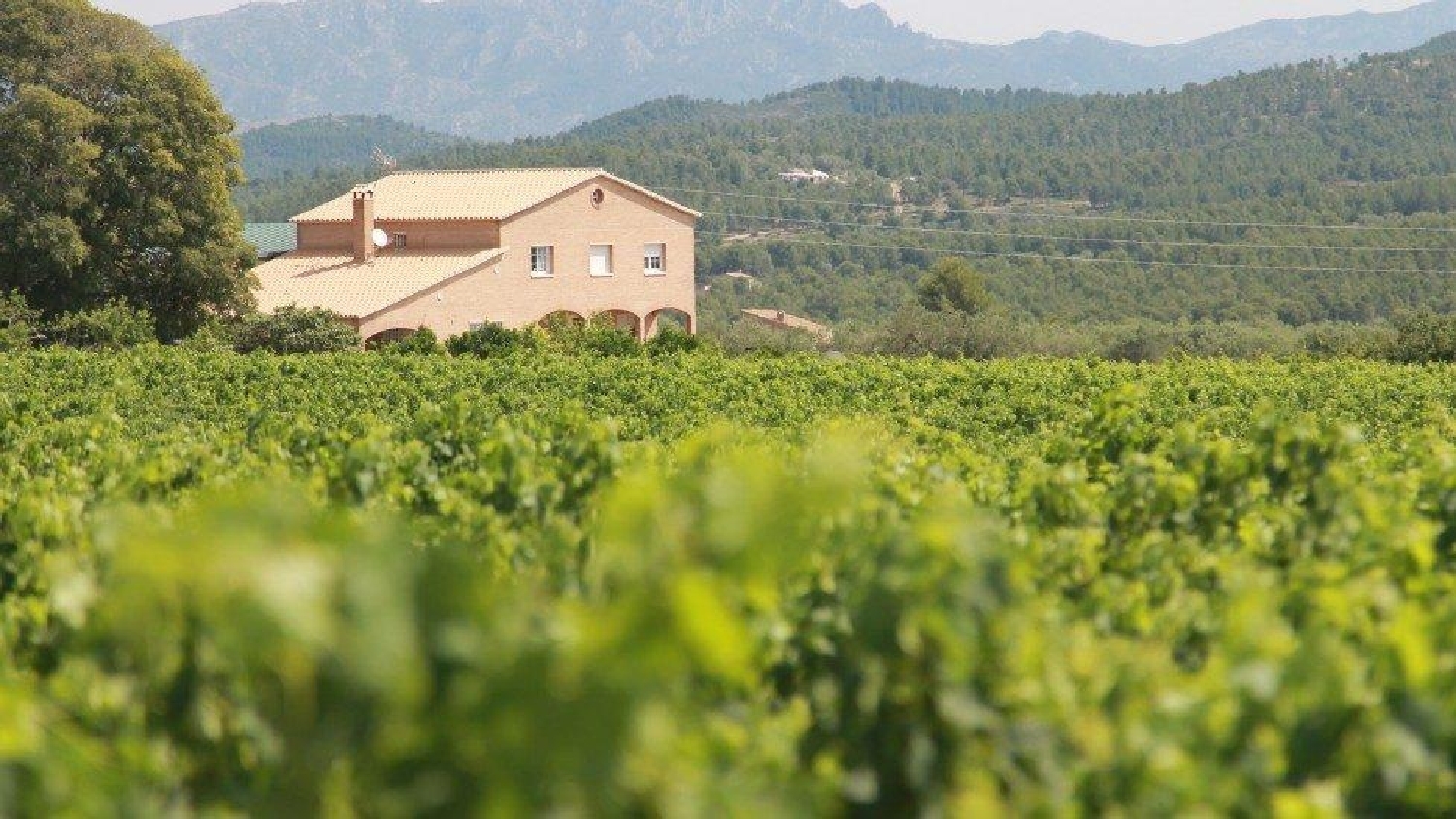 till salu hus på landet Perello-Mar Baix Ebre 3
