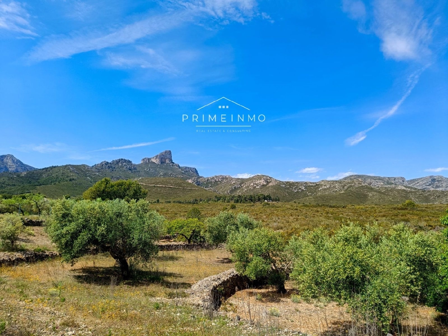  till salu hus på landet El Perelló Baix Ebre 10