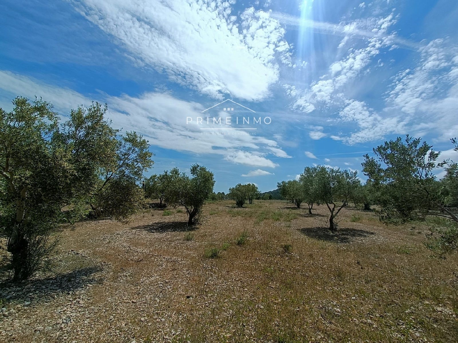  till salu hus på landet El Perelló Baix Ebre 12