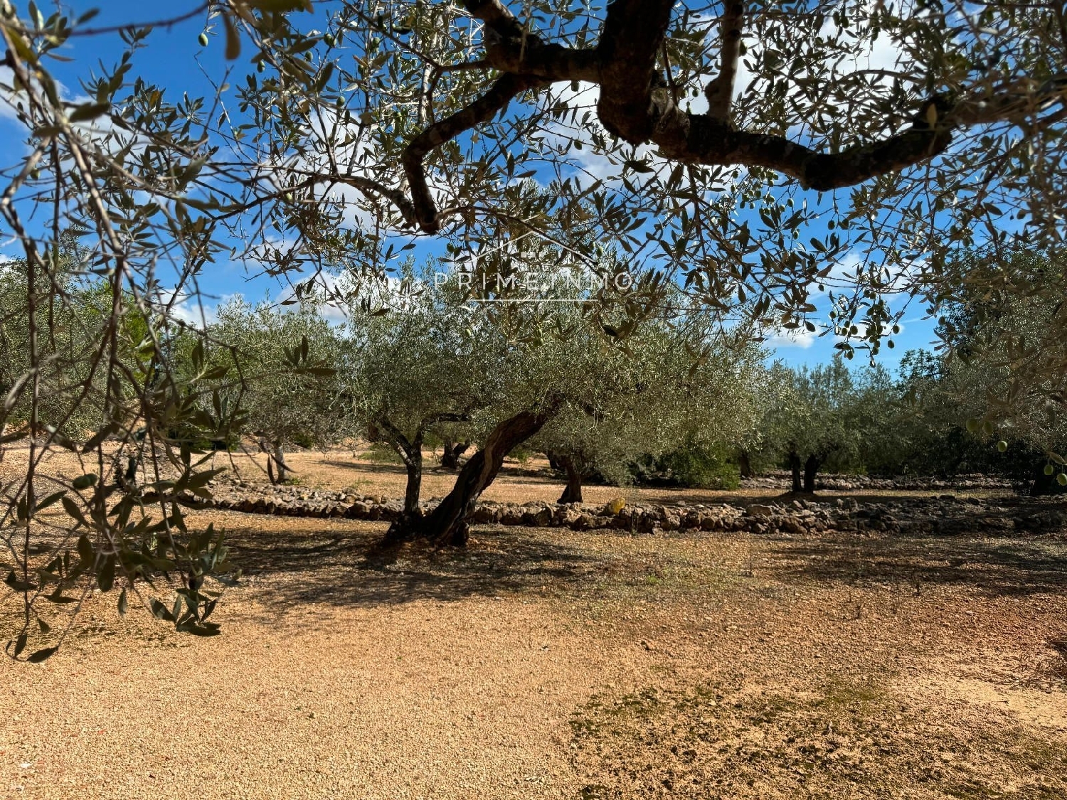 till salu hus på landet Perello-Mar Baix Ebre 2
