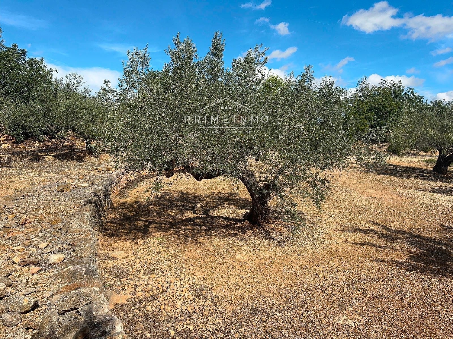  till salu hus på landet Perello-Mar Baix Ebre 4