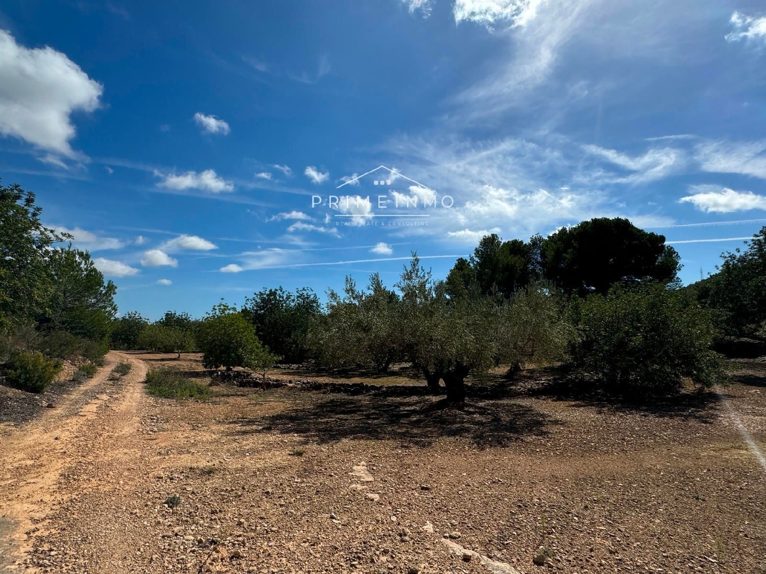  till salu hus på landet Perello-Mar Baix Ebre 5