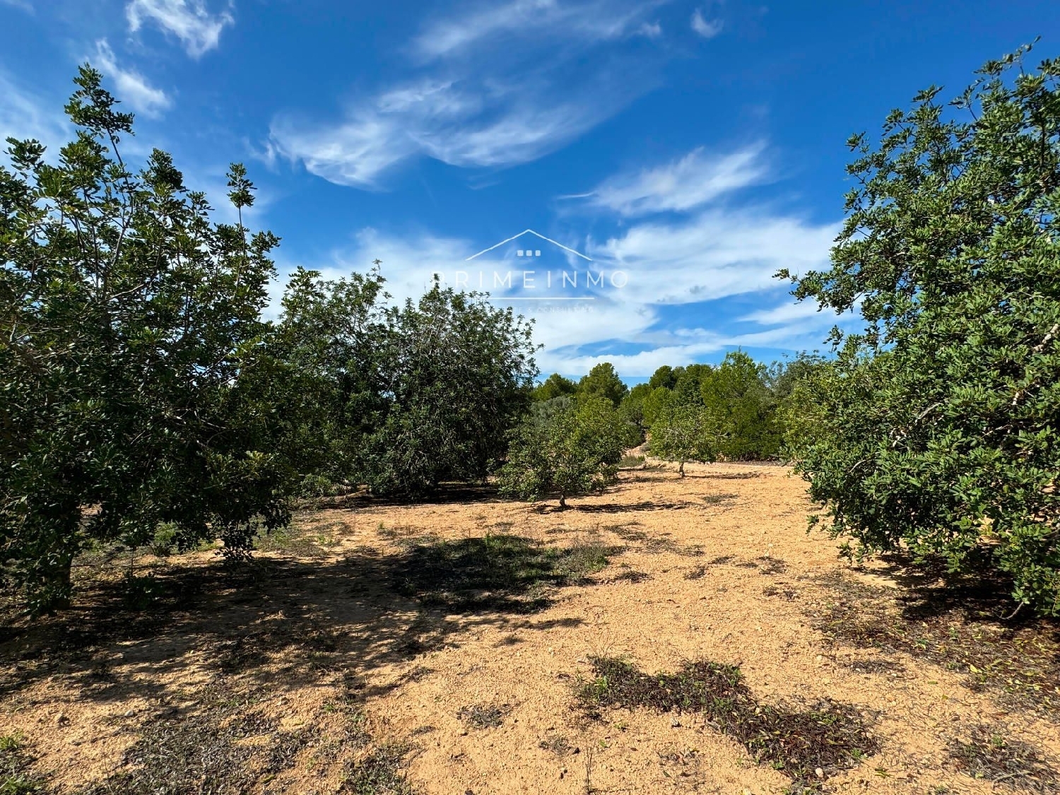  till salu hus på landet Perello-Mar Baix Ebre 9