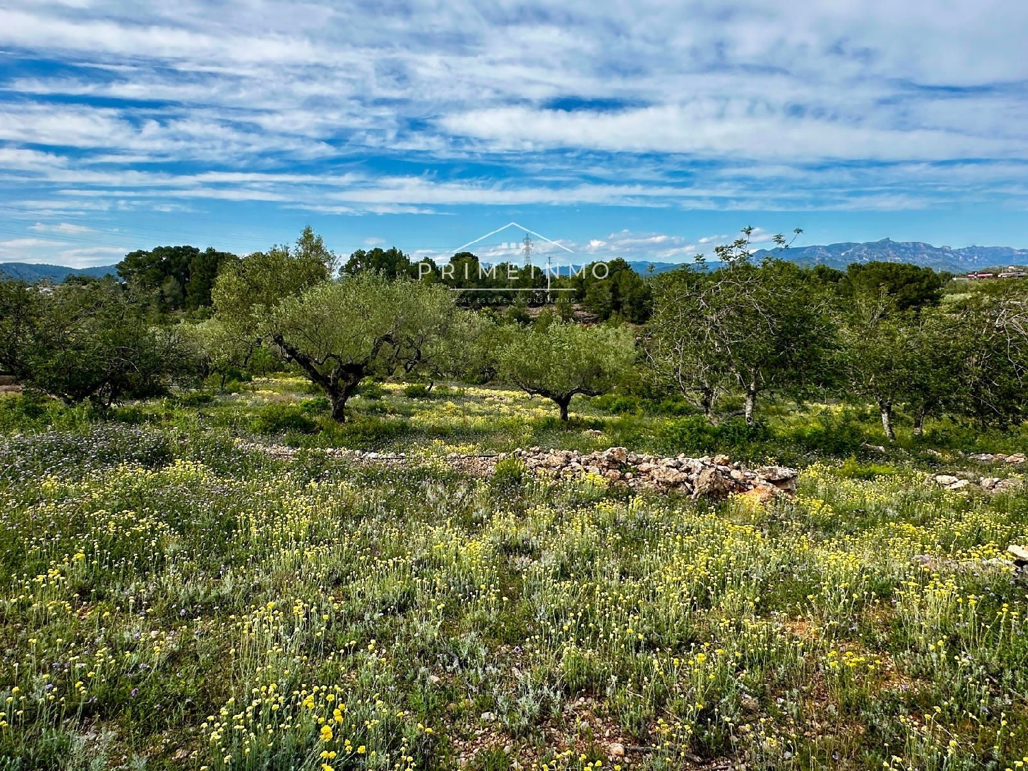  till salu hus på landet Perello-Mar Baix Ebre 32