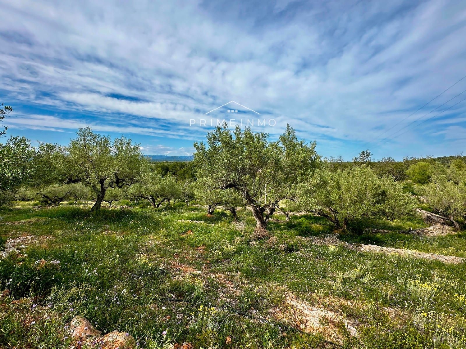  till salu hus på landet Perello-Mar Baix Ebre 33