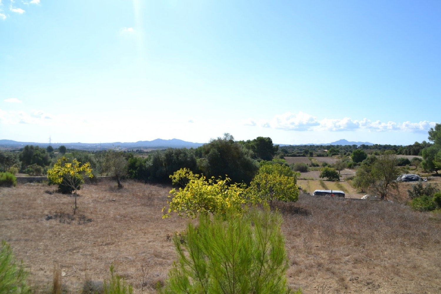 te koop boerderij Petra Pla (Es) 3