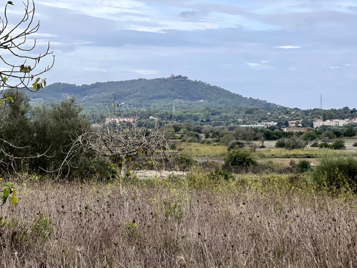  à vendre maison de campagne Petra Pla (Es) 5