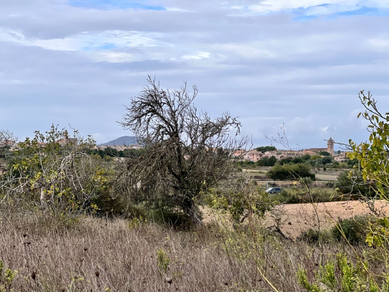  à vendre maison de campagne Petra Pla (Es) 6