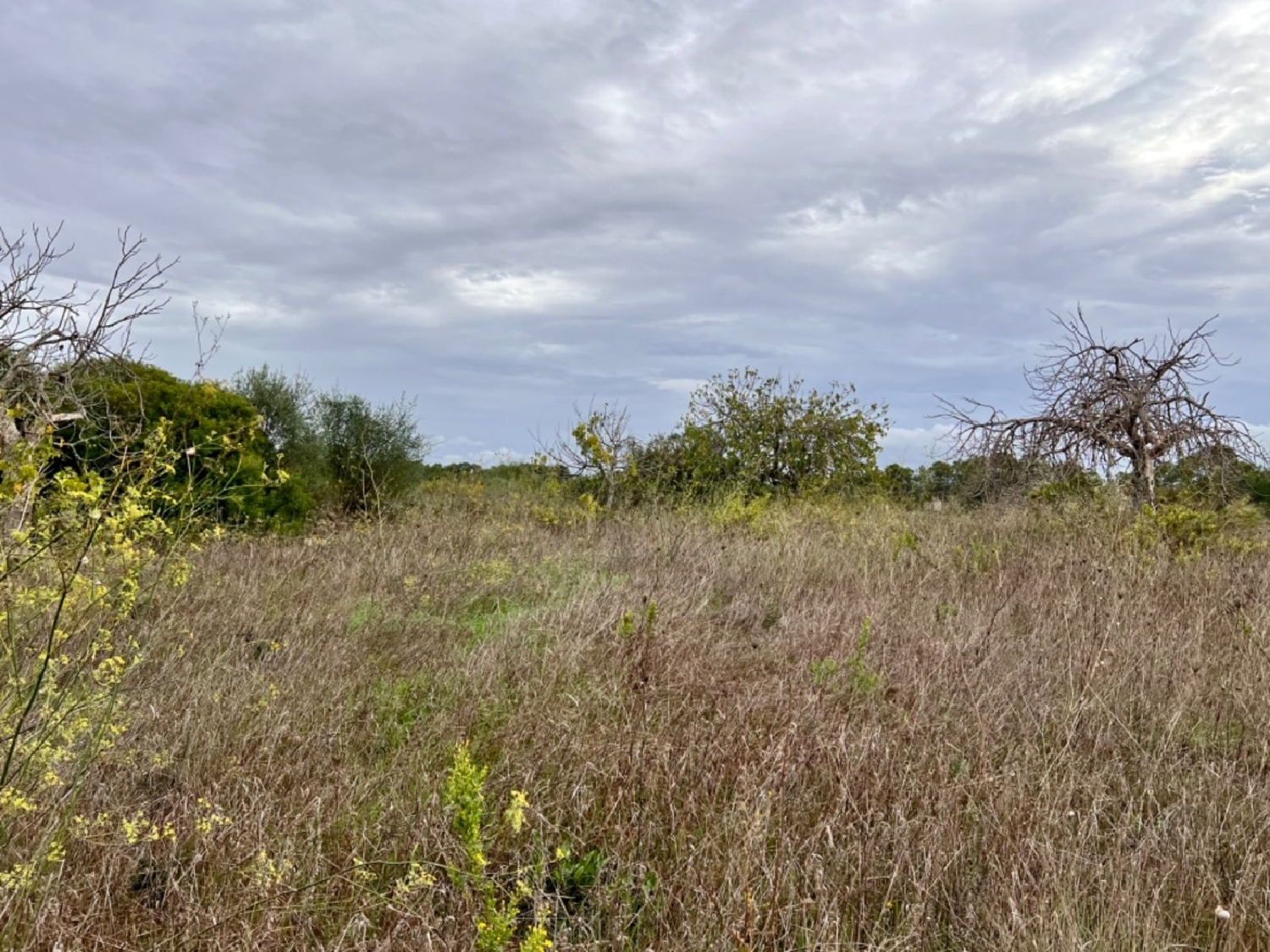  à vendre maison de campagne Petra Pla (Es) 8