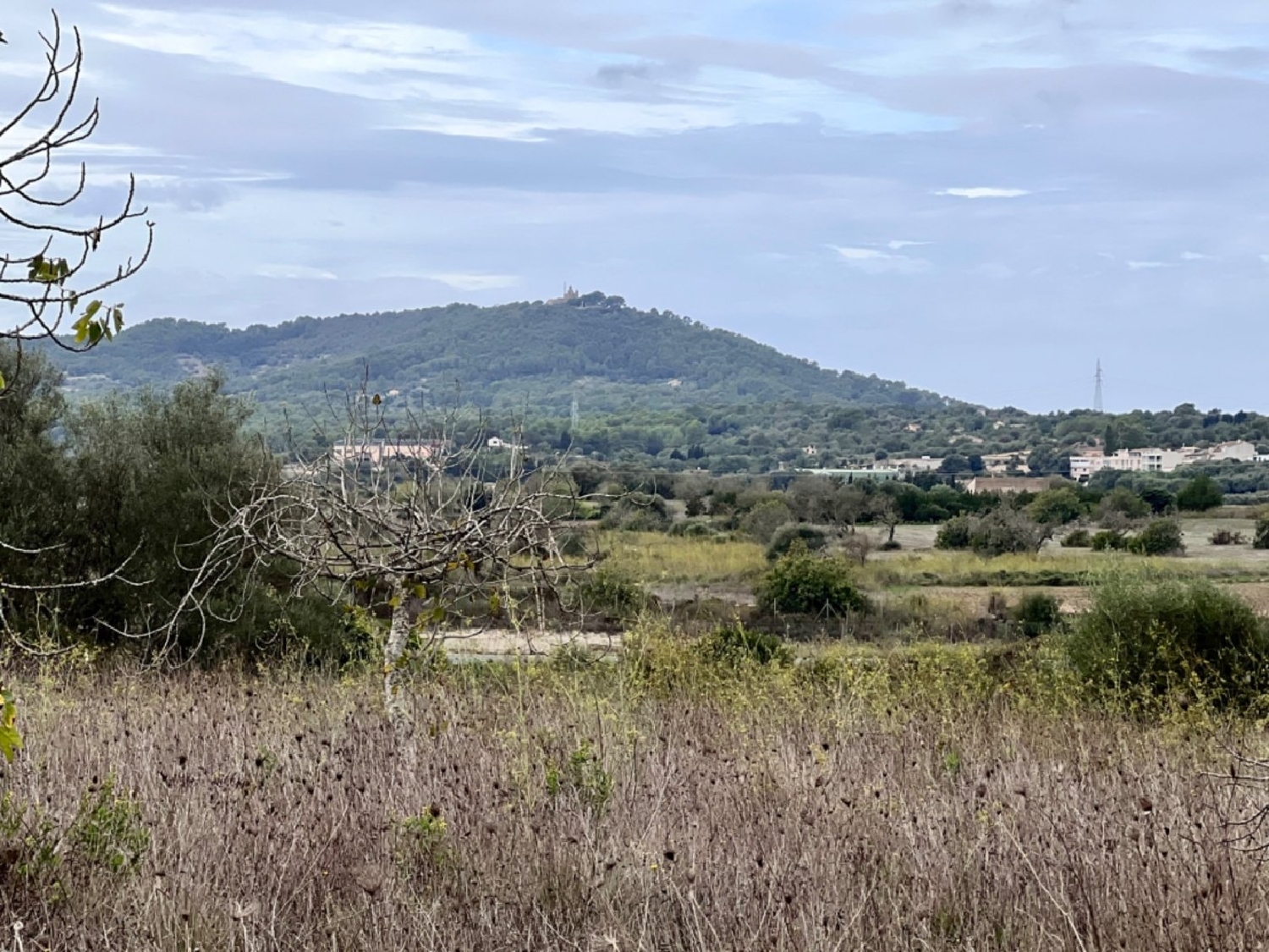  à vendre maison de campagne Petra Pla (Es) 7