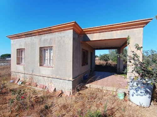Pinar De Los Guisos Bahía De Cádiz hus på landet foto 6234015