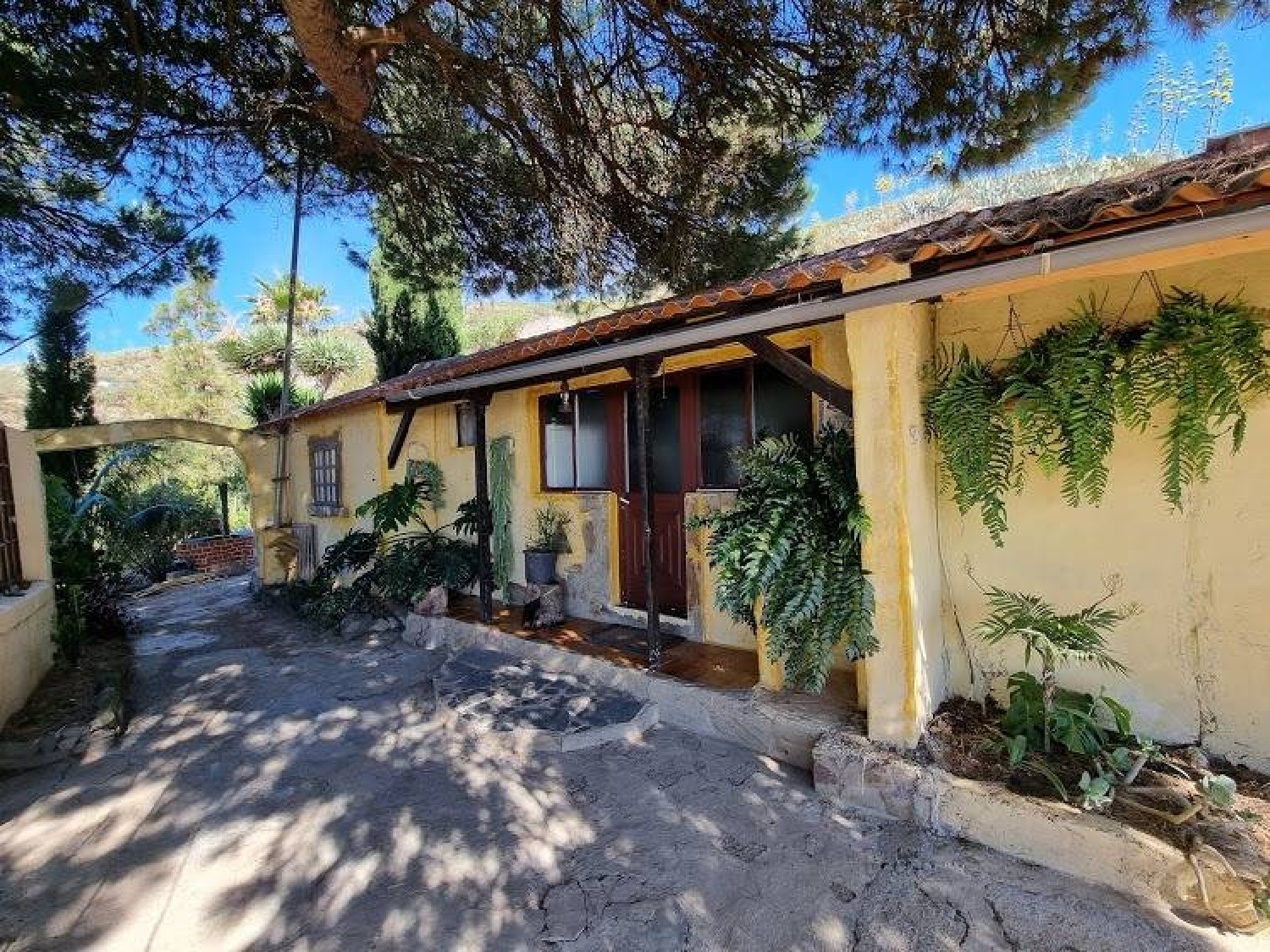  till salu hus på landet Pino Santo Alto Área Centro 5