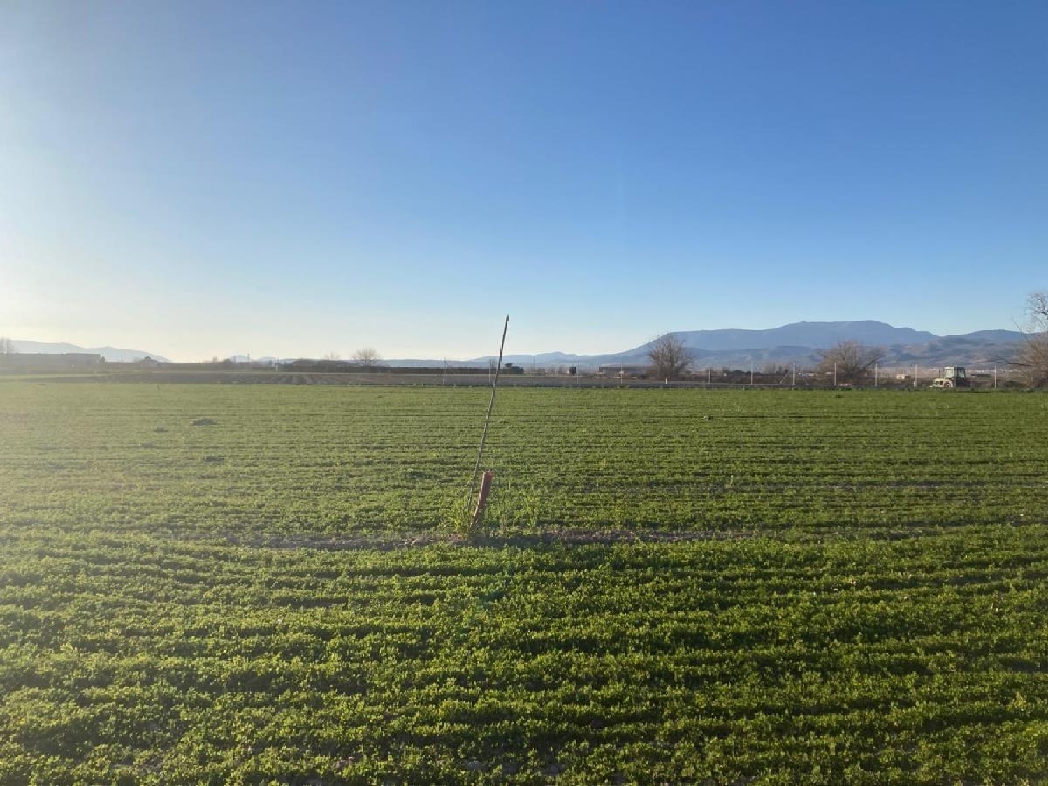  till salu hus på landet Pinos Puente Vega De Granada 8