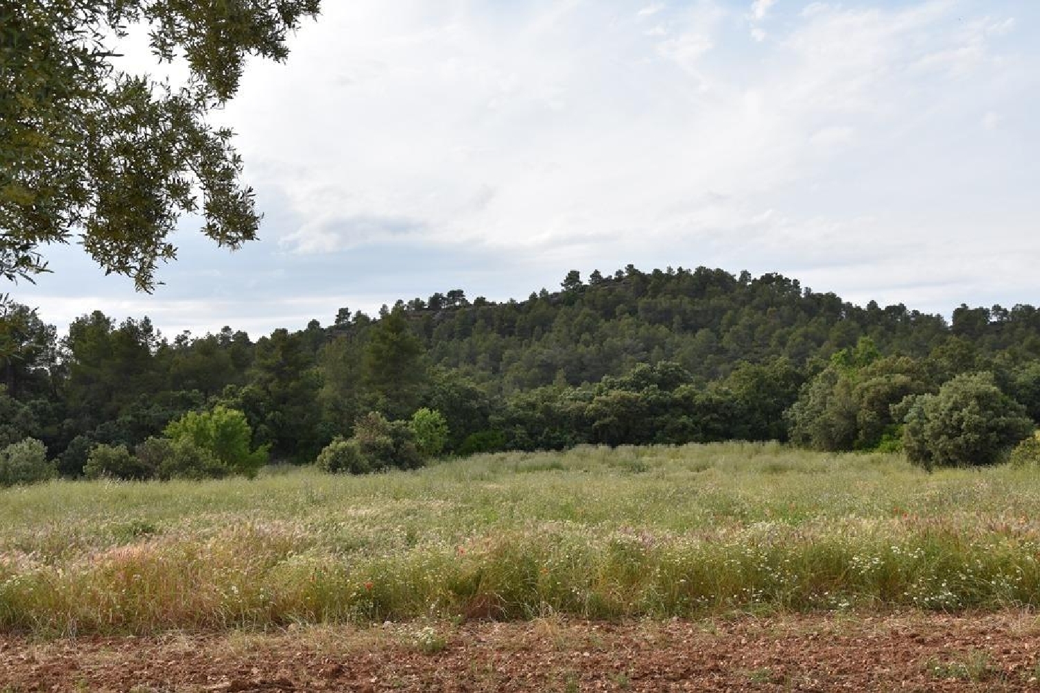  till salu hus på landet Prades Baix Camp 7